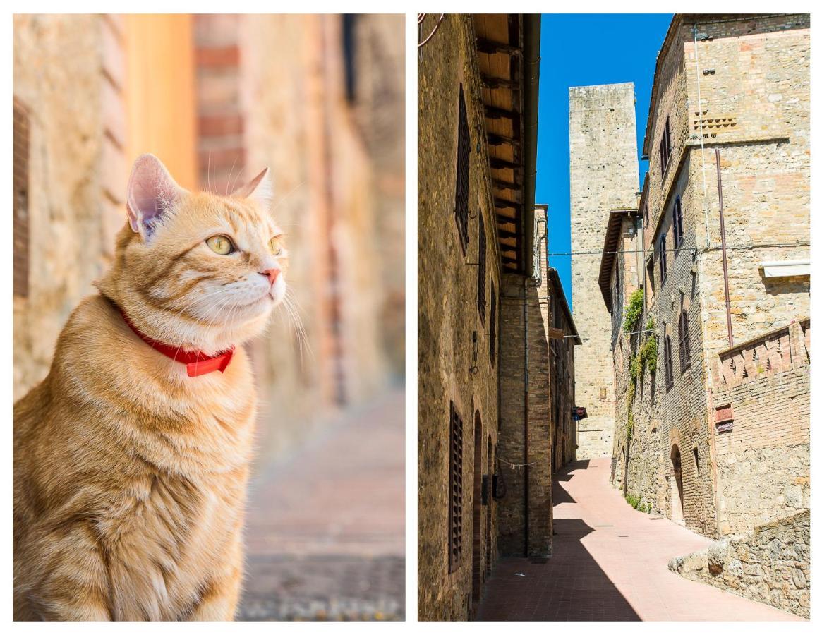 Il Capitello Appartement San Gimignano Buitenkant foto